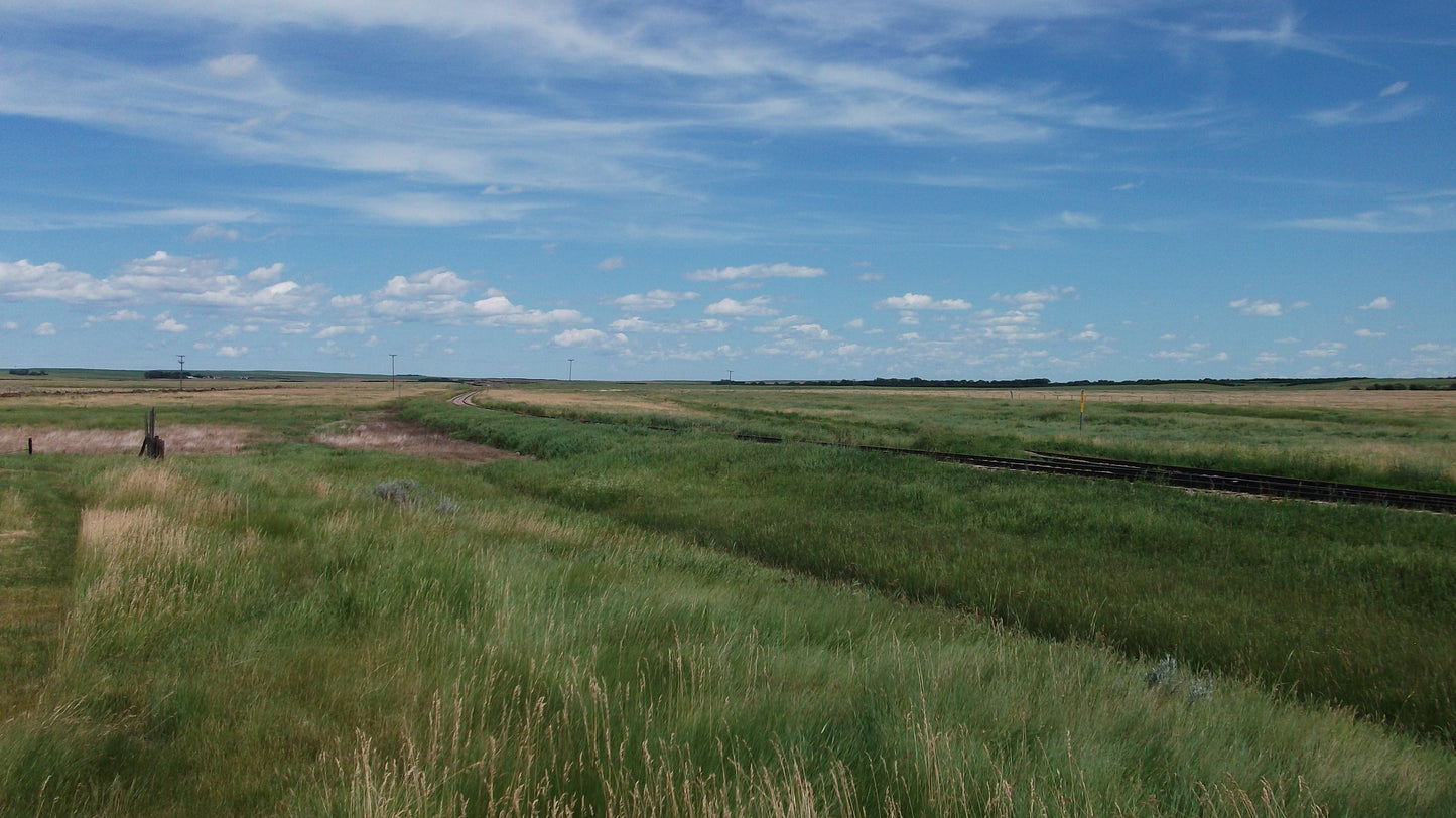 Instow, SK - Transload - CPKC